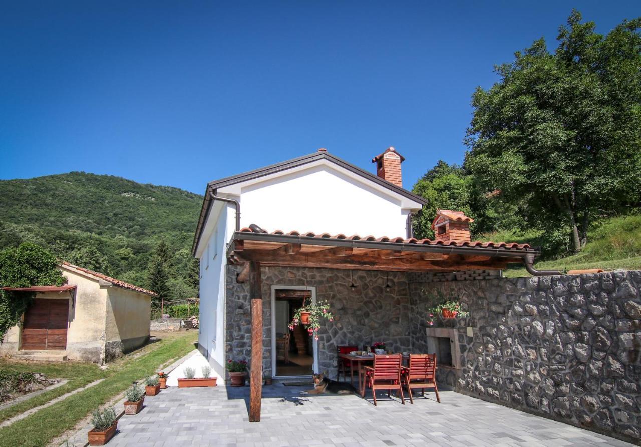 Guest House 'Villa Fani' Veprinac With Jacuzzi Экстерьер фото
