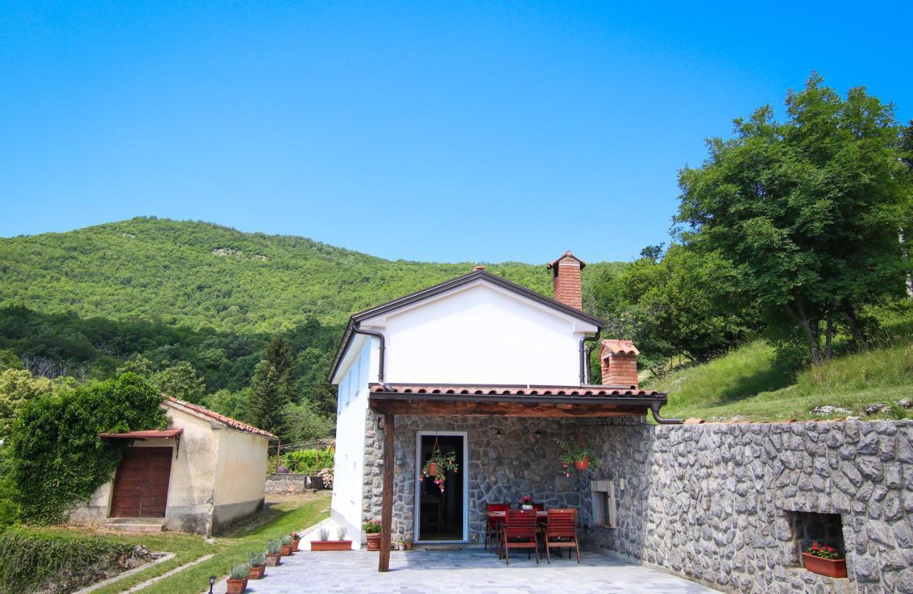 Guest House 'Villa Fani' Veprinac With Jacuzzi Экстерьер фото